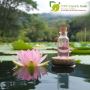 100% Pure Pink Lotus Absolute – Best for Aromatherapy