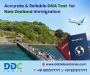 Step-by-Step Guide to DNA Testing for New Zealand Visa Appli