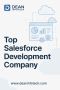 Top Salesforce Development Company