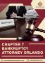 Chatper 7 Bankruptcy Attorney in Orlando -  D.A. L. F