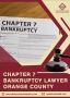 Trusted Chapter 7 Bankruptcy Lawyer in Orange County