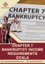 Get Legal Help with Chapter 7 Bankruptcy Income Requirements