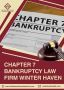 Get Reliable Chapter 7 Bankruptcy Law Firm in Winter Haven