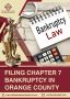  Filing Chapter 7 Bankruptcy in Orange County - D.A.L.F 