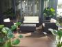 Online Cheap Furniture Store