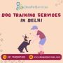Hire Expert Dog Trainer in Delhi to Train your Furry Friend