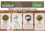 Residential and commercial wood lot cleaning services in Lan