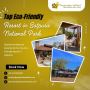 Top Eco-Friendly Resort in Satpura National Park