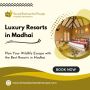 Resorts in Madhai: Best Stays for Nature Lovers and Traveler