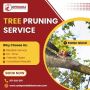 Tree Pruning Service in Staten Island