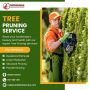 Tree Pruning Service in Staten Island Tree Pruning Service in Staten Island