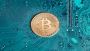 The Top 3 Crypto Tracking Apps That Every Investor Needs in 