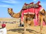 Best hotel in Bikaner Best hotel in Bikaner