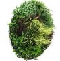 Slimline Flowering White Artificial Green Wall