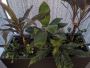 There Are Very Few Décor Moves As Smart As Faux Plants 
