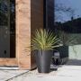 Add Instant Character With Artificial Hanging Plants Online 