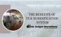 Misting system for tea industry- The designo international
