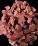 Rubber Mulch: Sustainable, Soft, and Smart Ground Cover for 