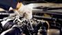 Vehicle Repairs and Servicing in Halifax