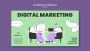 Affordable Digital Markeing Agency in UK | Digi Ninja