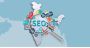 SEO Service Provider