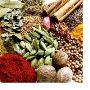 Biggest Agro products retailer in Andhra Pradesh