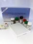 Expert Diagnostics Service at Diagnostic Automation / Cortez