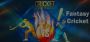 Unleash Your Cricketing Fantasy with DiamondExch9 Unleash Your Cricketing Fantasy with DiamondExch9