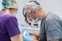 Expert Oral Surgery Services in Louisville, KY