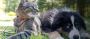 Discover Diatomaceous Earth: A Versatile Natural Solution