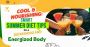 Smart Summer Diet Tips for a Refreshing and Energized Body