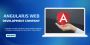 Angularjs Web Development Company in USA
