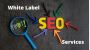 Get a Free Custom SEO Audit Report
