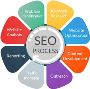 Top Leading SEO Company in India 
