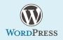 Choose the Best WordPress development company in India for C