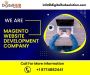 Magento Website Development in the United States
