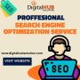 Professional Search Engine Optimization Service