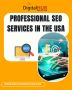 Professional SEO Services in the USA Professional SEO Services in the USA