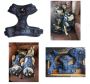 Walk with Ease: Finnigan's Paws Up Harness Now in Manchester