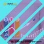 Best Seo Company in India | DigitalWebRiders 