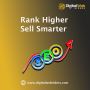 Best SEO Company in India | Digital Web Riders