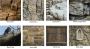 Export Distributor for Themed Cement Plaster(TCP)