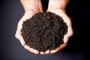 Premium Black Garden Soil Supplier in Kitchener-Waterloo 