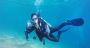 Snorkelling At Tribe Gate By Boat