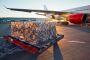 Find Expedited Transportation Services at Diversified Transp