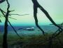 NACD Courses Tulum