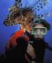 PADI open water course