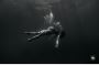 Embrace Your Inner Goddess in the Ocean's Embrace