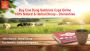 Buy Cow Dung Sambrani Cups Online | 100% Natural & Herbal 