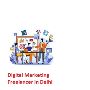 Digital Marketing Freelancer in Noida Digital Marketing Freelancer in Noida